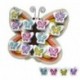 Exposant Butterfly printemps + 12 boîtes
