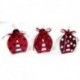 Lot de 12 boîtes de coccinelle couleurs assorties