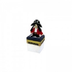 Lot de 16 petites boîtes pirates