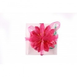 Sac Pliable Flower In Box cadeau